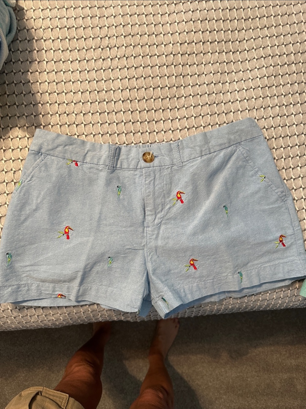 chubbies Light Blue Embroidered Parrot Shorts